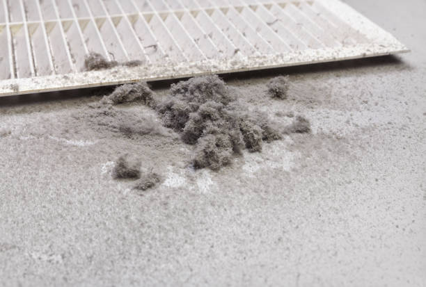 Best HVAC Duct Inspection Services  in Ball, LA