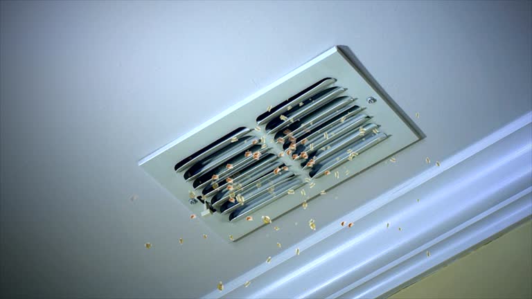 Best Air Duct Cleaning Near Me  in Ball, LA