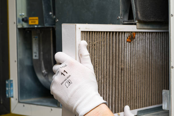 Best Professional Duct Cleaning Services  in Ball, LA