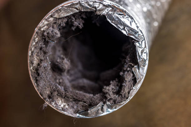 Best Home Air Vent Cleaning  in Ball, LA